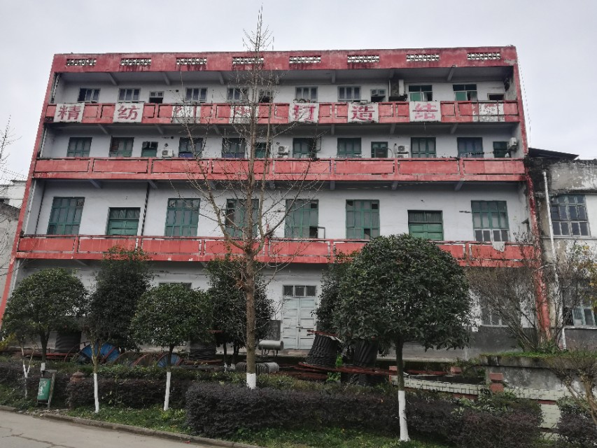 南棉老照片,南棉老照片大全