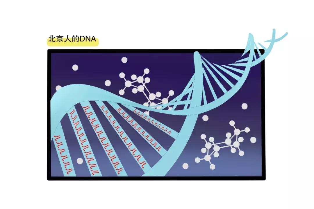 为何湖南人这么会娱乐,湖南人为什么喜欢交朋友