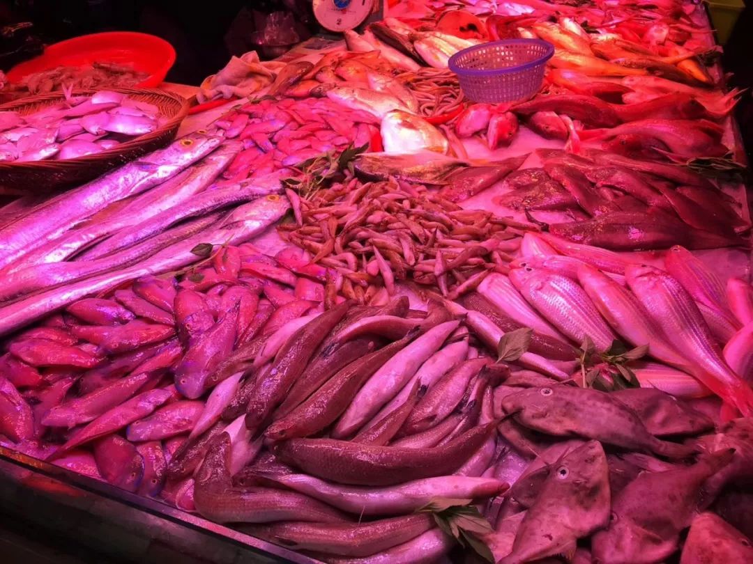 汕头5天旅行怎么吃,汕头两天一夜美食游攻略