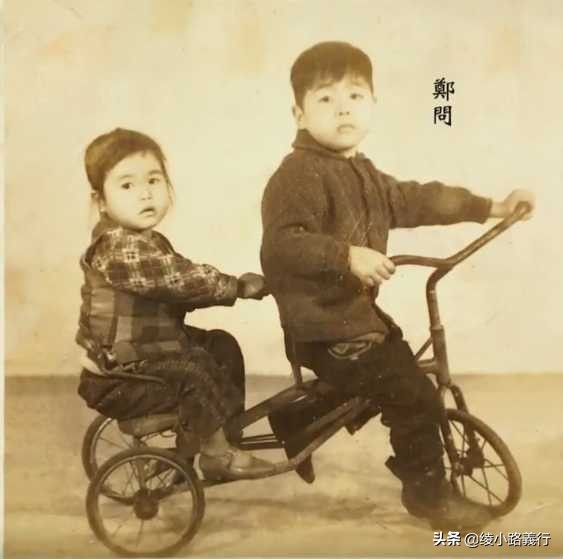 百年一遇的天才、鬼才、异才——怀念“亚洲至宝”漫画家郑问