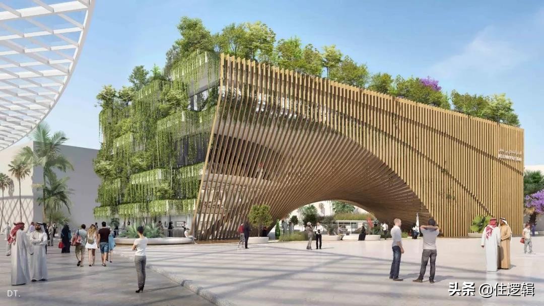 迪拜世博会中国馆建筑师,设计师吐槽大会
