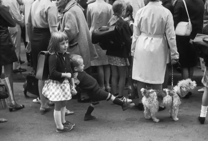 犬的记忆｜世界摄影经典