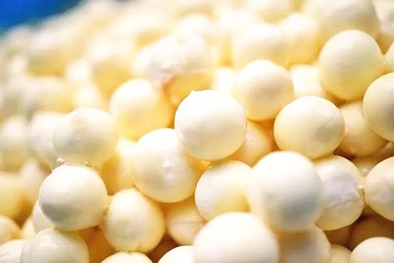 鸡头米熬糖水的做法,苏州葑门正宗鸡头米旗舰店