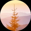 创业这件事情应该从哪里开始做,创业过程中你应该明白的是什么