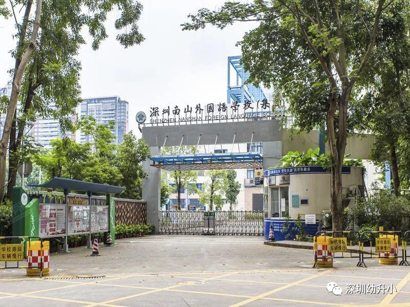 深圳好的双语小学,深圳2023优质小学校排名