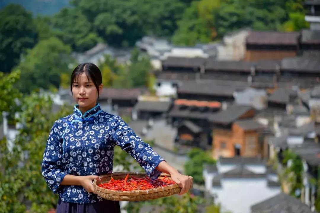 第五届中国篁岭晒秋（美食）节开幕，用美味欢庆丰收