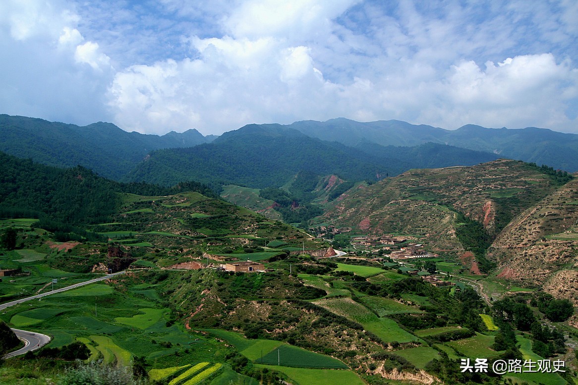 马步芳盗挖青海都兰古墓，派1个工兵营进驻，拿走金银器留下丝绸