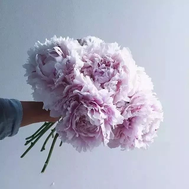 买回来的一束花如何插花,下班路上买一束花然后试着插花