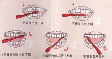 电动牙刷哪种对牙损伤的好用,口腔电动牙刷你真的会用吗