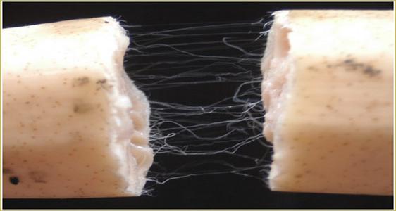 出淤泥而不染濯清涟而不妖说说,出淤泥而不染濯清涟而不妖古诗