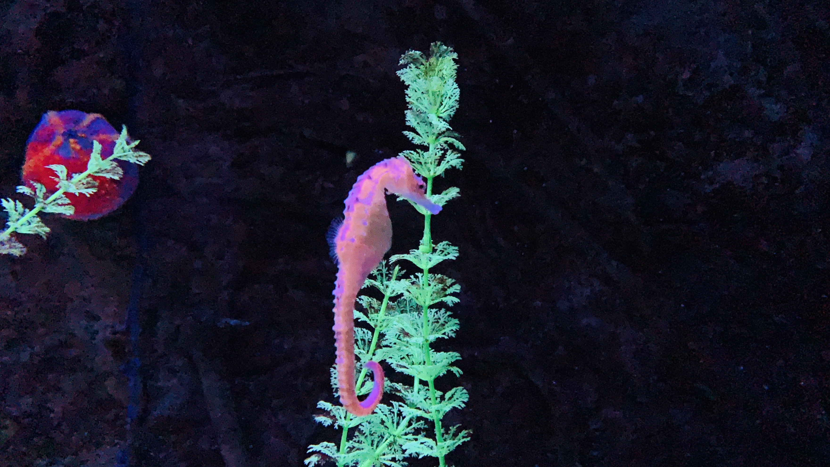 北京富国海底世界周围景点,工体富国海底世界游览攻略