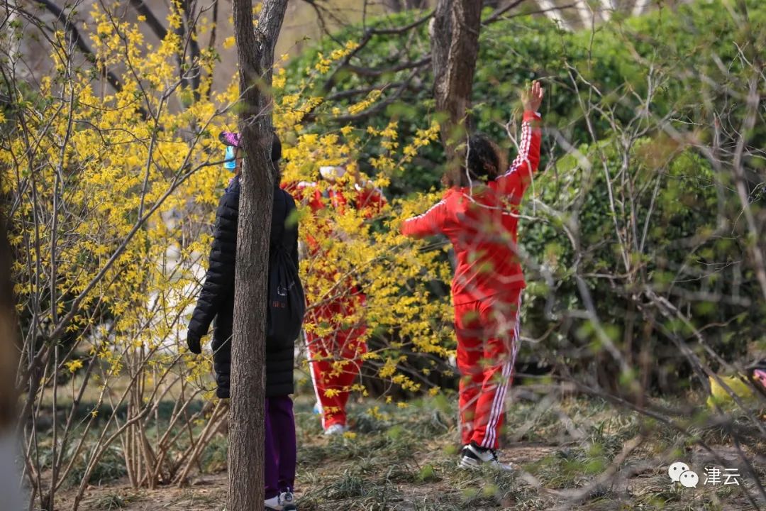 天津即将完工的公园,天津新开放的公园