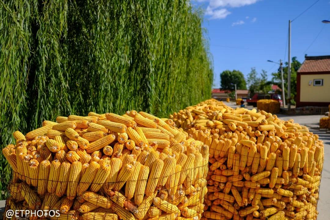 万元内微单相机全画幅,万元以内微单套机推荐