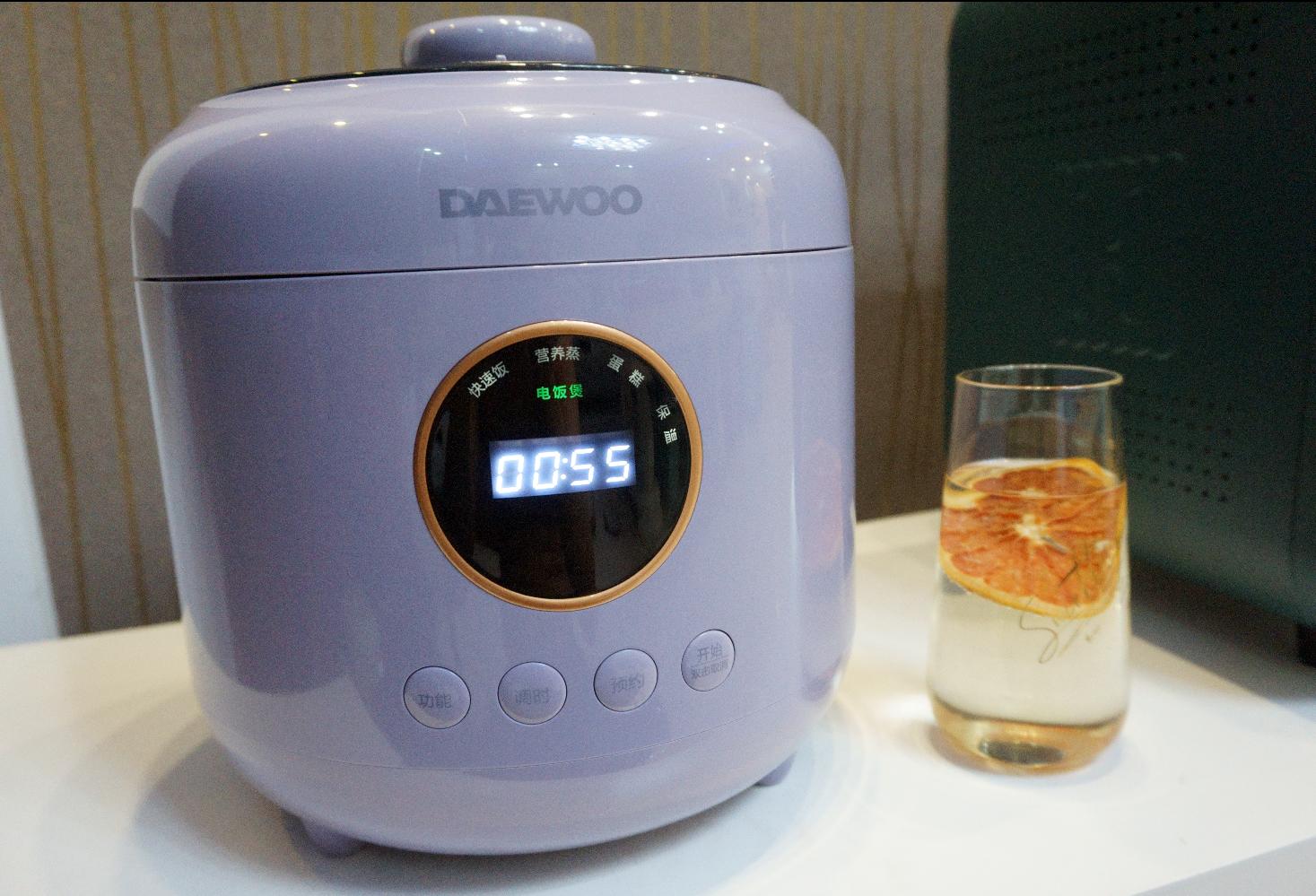 一锅两用双胆,一锅多用多功能的压力煲