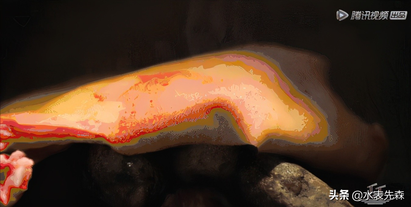 十部必看高分纪录片,十大必看的高分纪录片