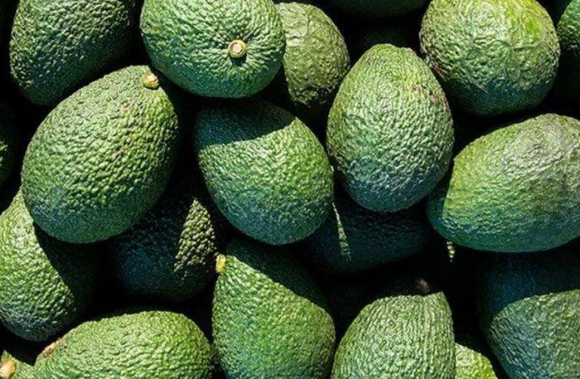 牛油果被炒作起来,为什么说牛油果就是一个健康骗局