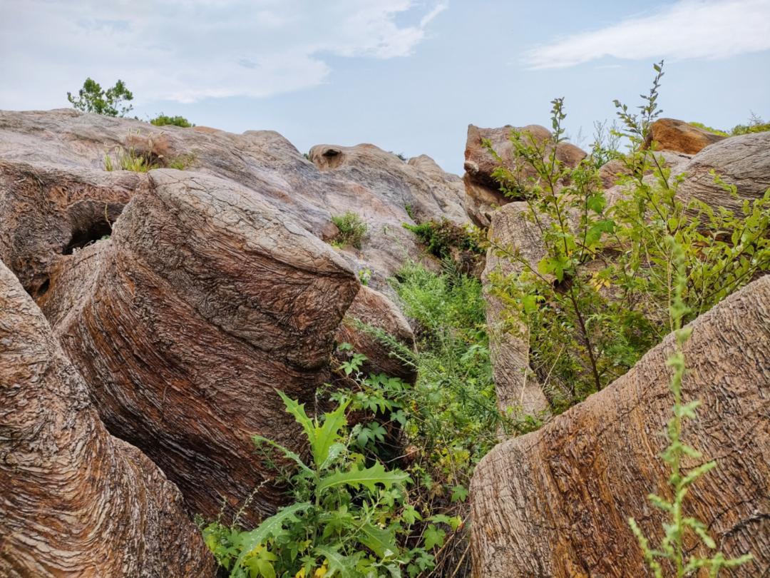 大连金石园奇石名称,大连市金石园