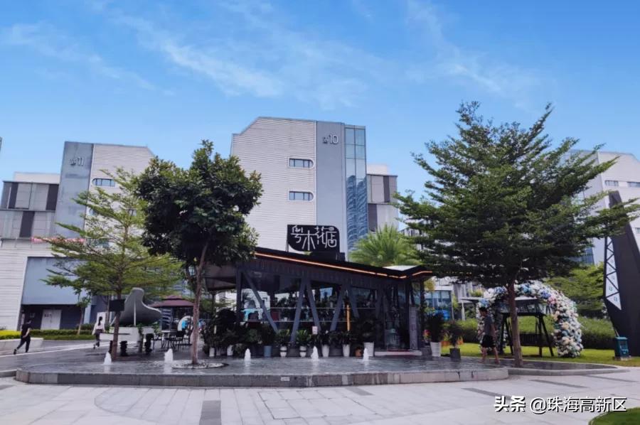 港湾一号最新消息今天,港湾1号最新视频