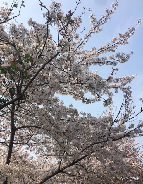 把故事讲给别人听,把故事讲给后来的人听