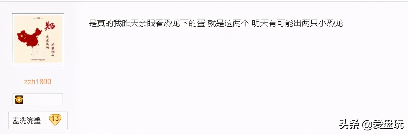 恐龙蛋化石手串,带恐龙化石手串