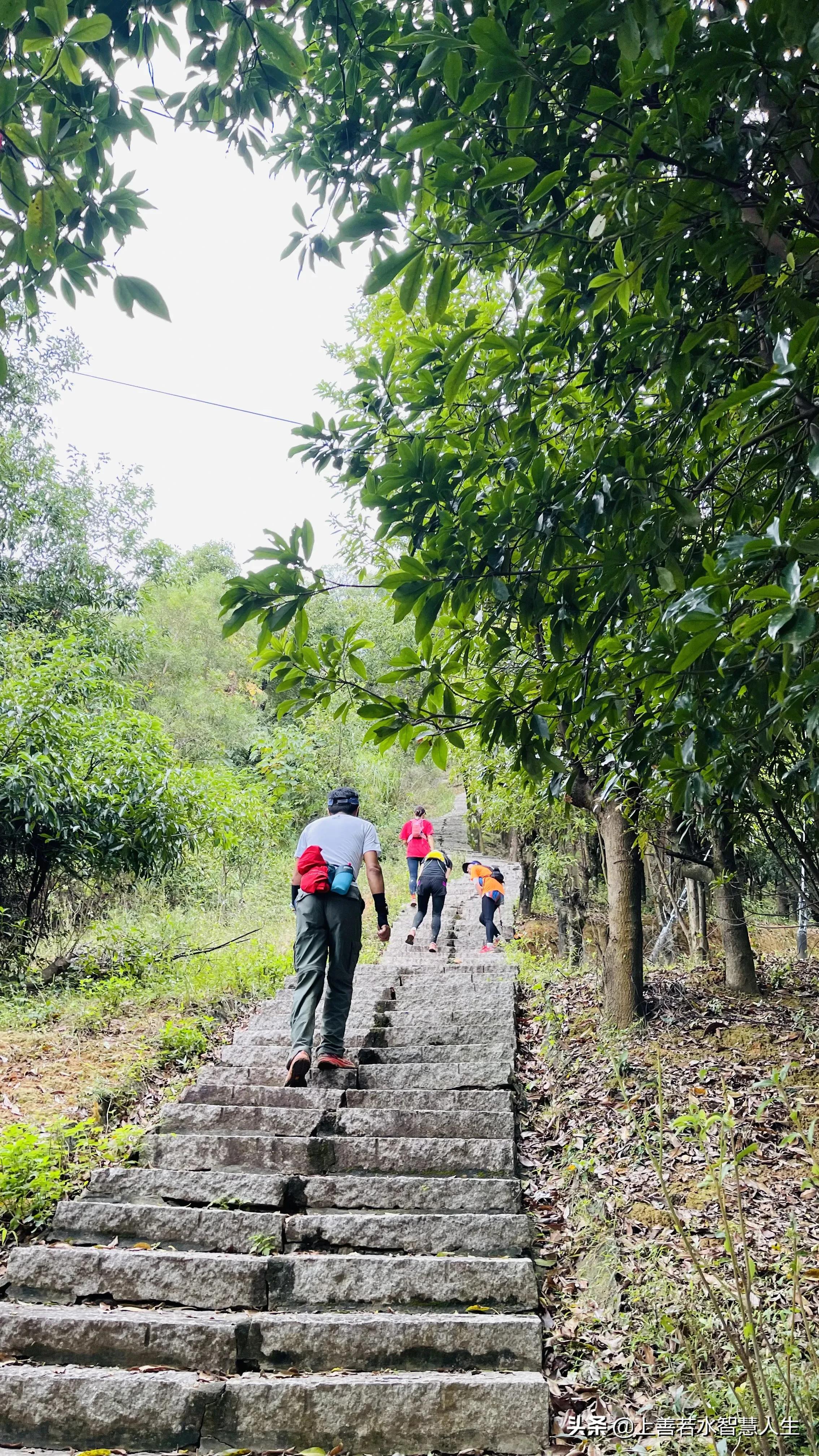 福州湖顶山观景平台风景,湖顶山观景台福州又一处登山美景