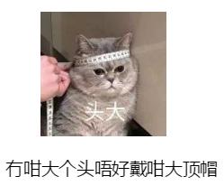 广东粤语什么意思啊,老广东才懂的粤语梗