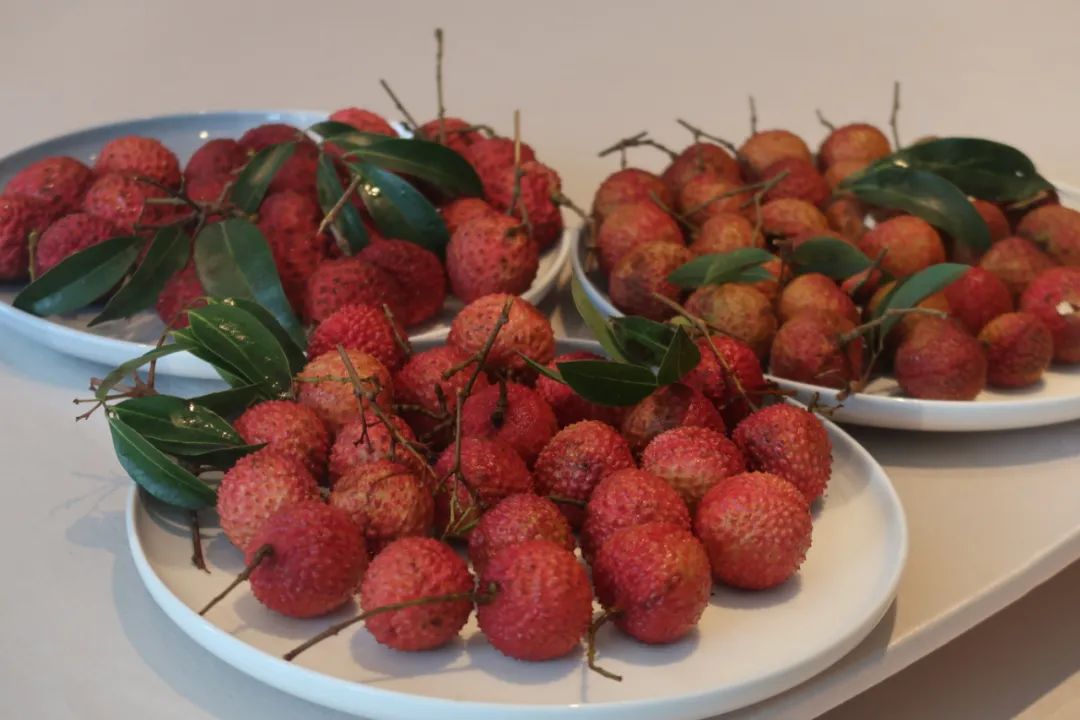 吃完这桌荔枝菜，我明白了荔枝圈的隐形鄙视链