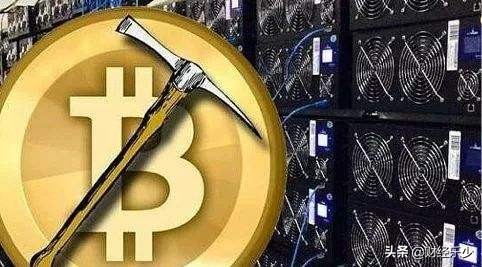 数字货币地方,钱币天堂官网查询