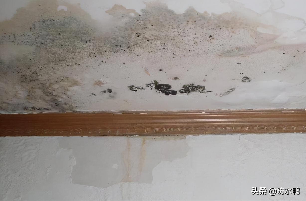 屋顶漏水怎么办最快最好的方法,屋顶漏水最彻底的解决方法