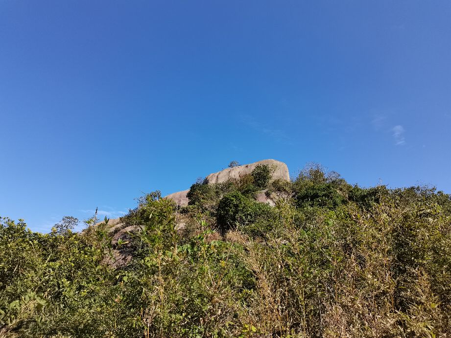 温州瓯海古洞岩景区,温州市瓯海仙岩风景区