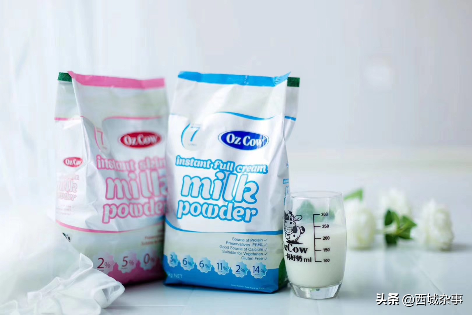 用奶粉自制酸奶的方法,驼奶粉能自制酸奶吗