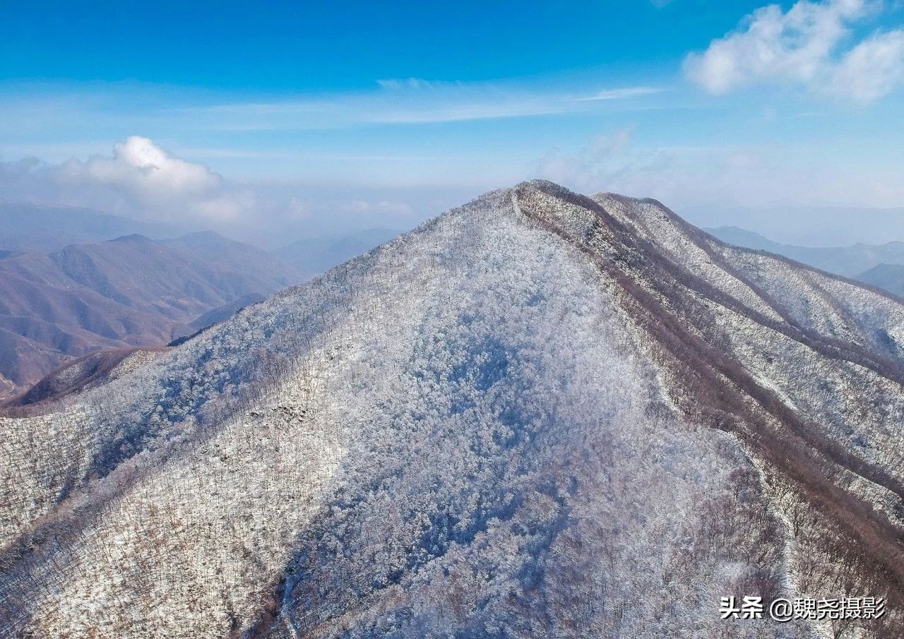 雪+雾凇+侧金盏+款冬=一次完美寻花之旅