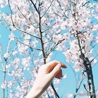 朋友圈九宫格怎么选择,朋友圈不需九宫格怎么操作