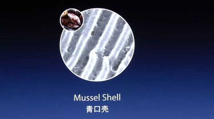 罗永浩发布会ppt教程,罗永浩说新品发布