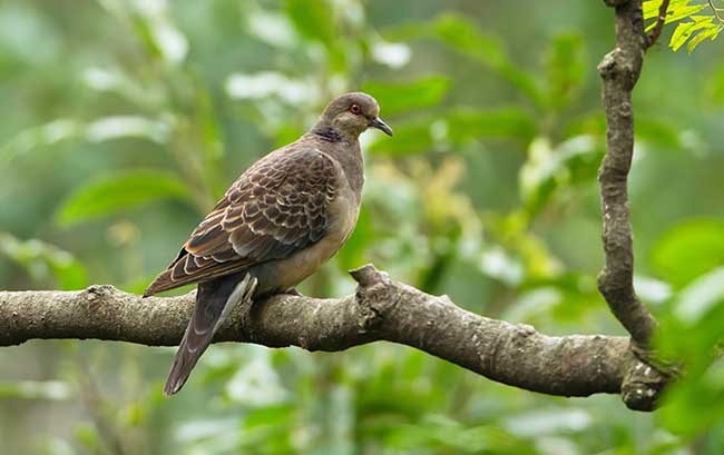 连云港故事传说,连云港古海州故事