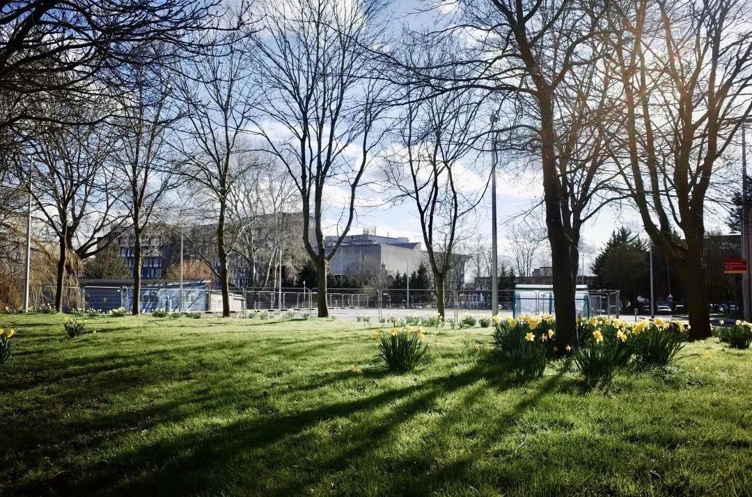 院校介绍|原来，威斯敏斯特大学优秀的不止是传媒