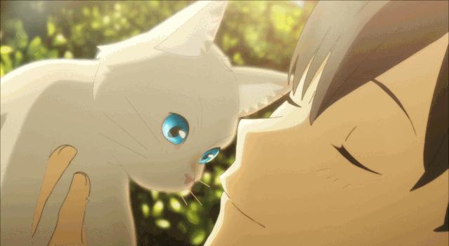 这部温情的撸猫片，让我哭得溃不成军，这是全世界猫*党**的胜利