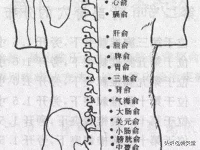 夏天艾灸该艾灸哪几个位置,又到了艾灸的季节