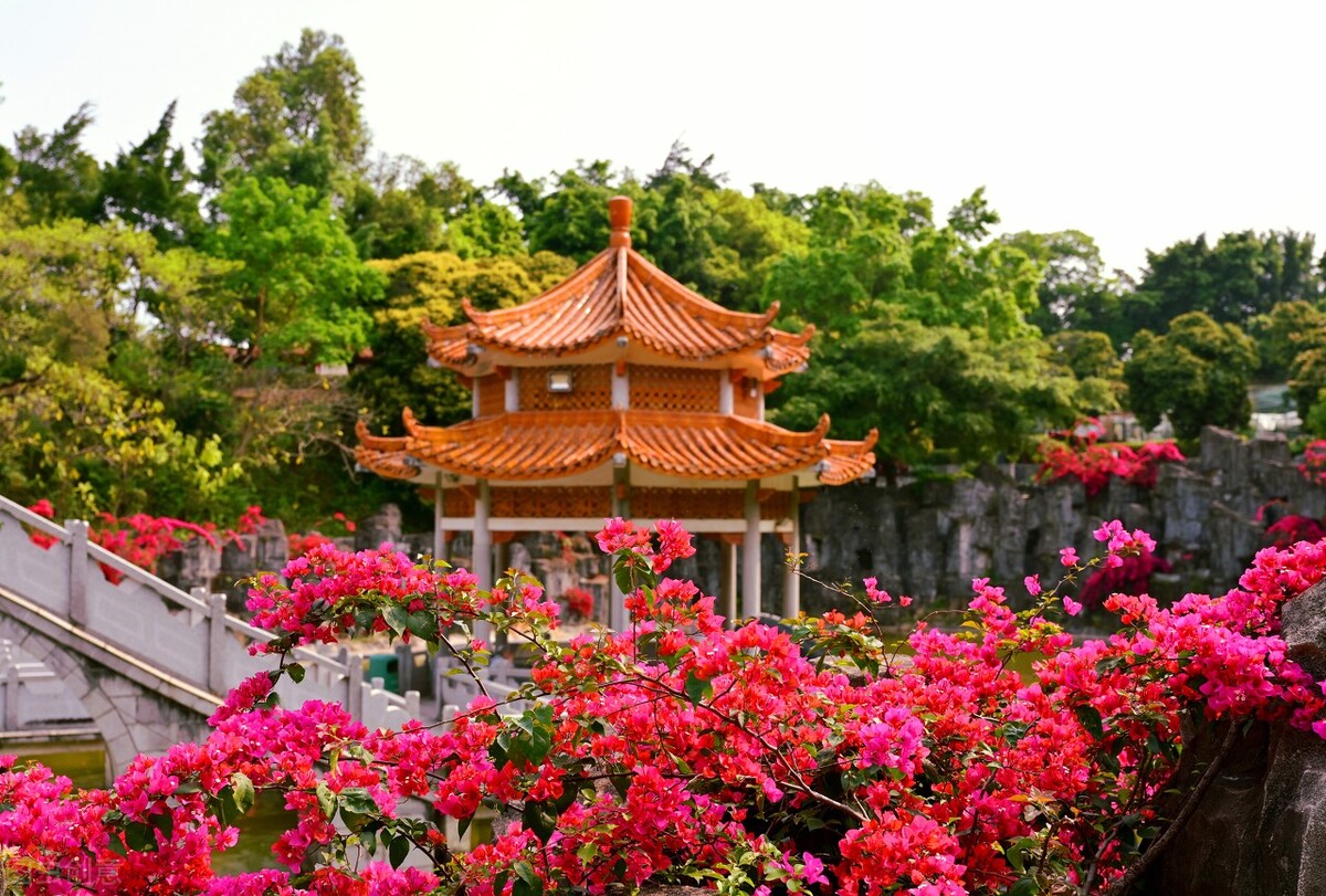 求水山公园一日游攻略从哪个门进,求水山公园一日游视频相册