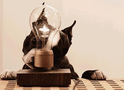 钨丝灯泡为什么会发光,白炽灯和钨丝灯照明原理一样吗