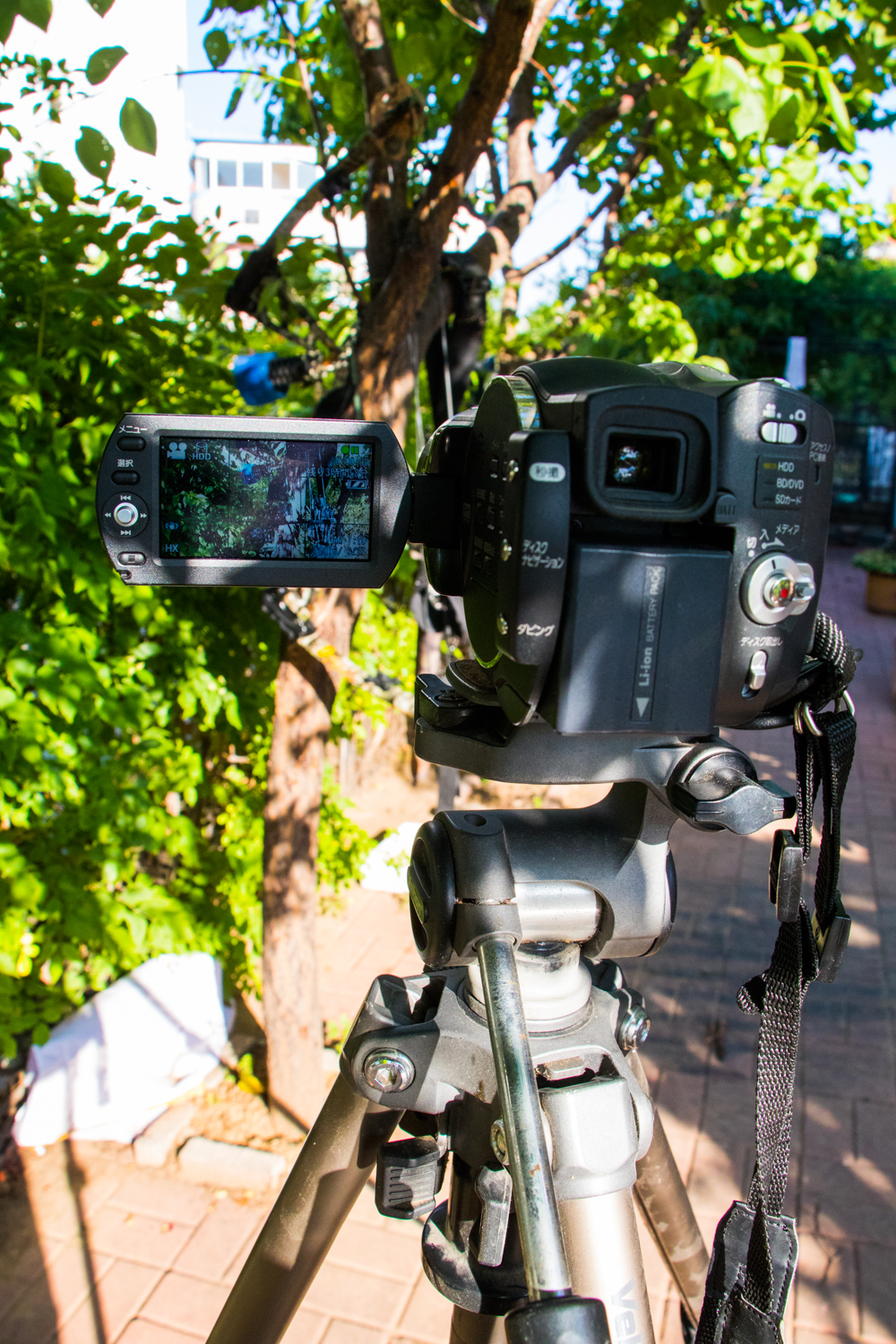 国产复合弓新手推荐,测试复合弓威力到底有多大