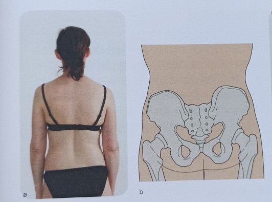 怎么练成瘦肌肉腿,结实大腿怎么减最快瘦下来