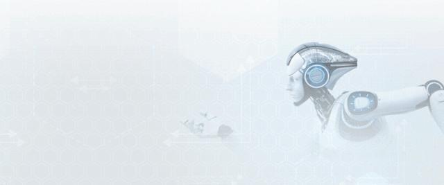 巴黎圣母院修复中国设计师,巴黎圣母院226个重建方案