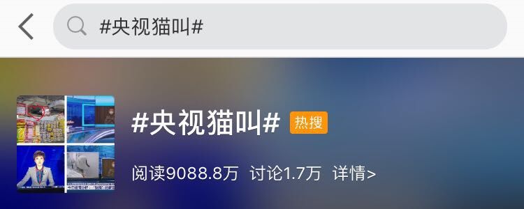 央视多档直播传出猫叫,央视猫叫上热搜