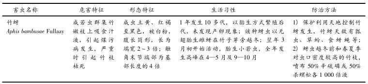 正宗巨龙竹苗怎么种,巨龙竹种子育苗程序