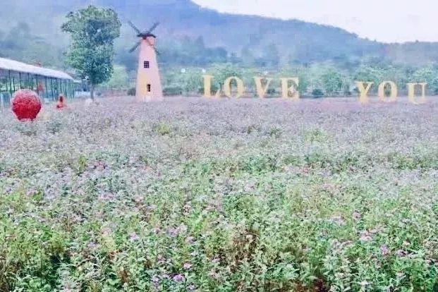 广东广州秋天正确的打开方式,广州花都夏天的好去处