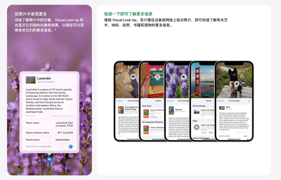 ios15最新版本功能,ios15阻止升级描述文件