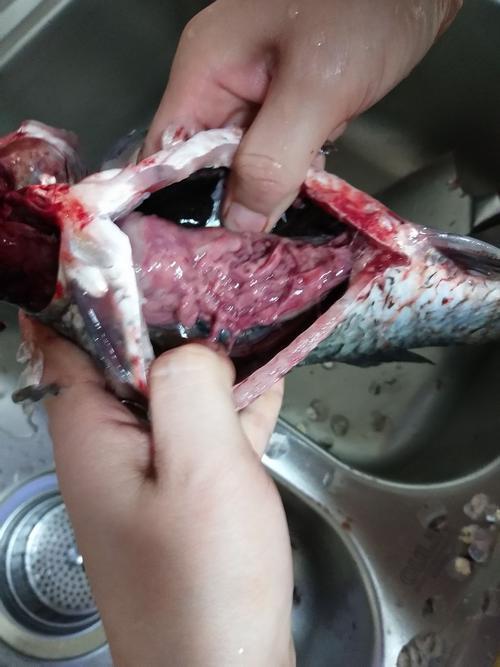 养花什么肥料好用又实惠,养花三种肥在家轻松就搞定