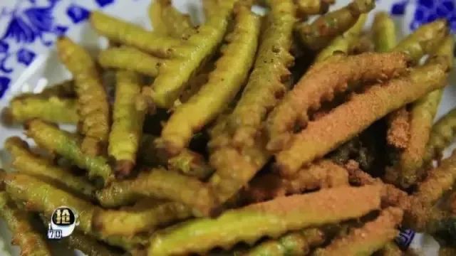 富川这种虫子卖出天价，炒到400元/斤，你敢吃吗？