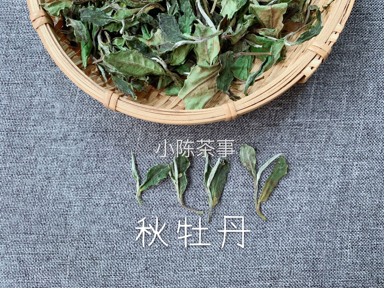 三分钟解读新白茶和老白茶的区别,白茶老白茶怎么选